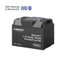 1 Renogy 12V 100Ah Pro Smart Lithium Iron Phosphate Battery w/Bluetooth & Self-heating Function